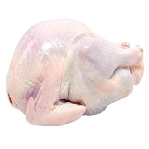 Poulet entier congelé de qualité certifié HALAL, 100% propre, pour poussins, emballage en vrac, sans acides gras trans - Product Image 2