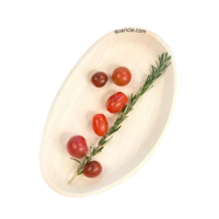 Plateau jetable en bambou Areca, robuste et écologique, 12 pouces/10 pouces, pour mariage, événement, service de salade, voyage, anniversaire, hôtel, super promotion