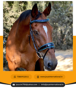 Haute qualité Mykonos édition limitée noir brevet Snaffle bride personnalisable prix de gros produit de cheval intelligent - Product Image 5