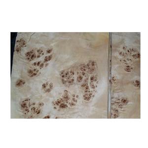 Naturalveneer Mappa Burl <b>Log</b> <b>Decorative</b> Veneers Premium Product Category - Product Image 5