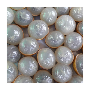 ลำไยแช่แข็งคุณภาพพรีเมี่ยมในราคาที่ดีที่สุด: เวียดนามเขตร้อนพิเศษหวานธรรมชาติและปลอดภัย - Product Image 5