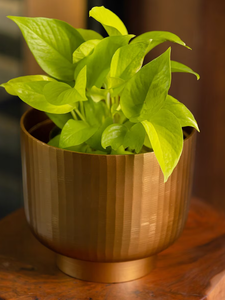 Maceta de flores de metal de alta calidad para la decoración de la boda del jardín del hogar de la Oficina en precio bajo - Product Image 6