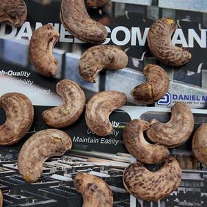 Nueces de Anacardo al por Mayor W320 Orgánicas Tostadas con Sal 100% Naturales de África con Fabricación OEM/ODM Disponible - Product Image 6