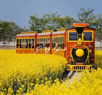 Tren turístico sin rieles eléctrico y diésel para parques de atracciones y turismo, precio de fábrica