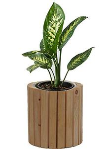 Décoration de mariage Vase à fleurs en bois multicolore Pot de fleurs et de bureau de style moderne pour la décoration de la maison et du salon - Product Image 2