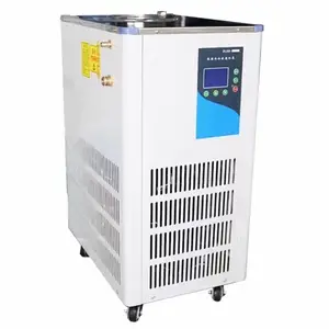 Low Temperature Recirculating Water Chiller Laboratory cooling Circulating Pump DLSB-5