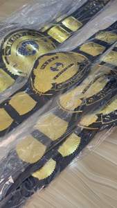 เข็มขัดแชมป์มวยปล้ำแบบหนัก รุ่นสั่งทำพิเศษ ปี 2023 คุณภาพสูง ทำจากหนัง/โลหะผสม สำหรับผู้ใหญ่ เหมาะสำหรับยูโดและเทควันโด 1 ชิ้น - Product Image 3