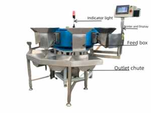 Machine de tri automatique du poids des poissons de mer, des crabes, des crevettes, des fruits de mer, de l'eau chaude. - Product Image 3