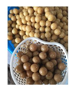 Exportation de limes salées en gros/limes marinées/citron conservé de 99 Gold Data Vietnam au meilleur prix - Product Image 2