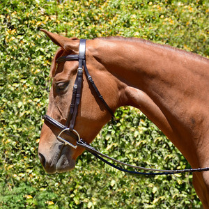 Bride de cheval de haute qualité Bride en cuir de cheval de meilleure qualité Bride en cuir de cheval de prix le plus bas de haute qualité - Product Image 4