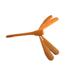 TUYET DUNG Artisanat de libellule en bambou peint traditionnel-Jouet de bricolage de haute qualité pour enfants Cadeau de Noël fabriqué au Vietnam - Product Image 6