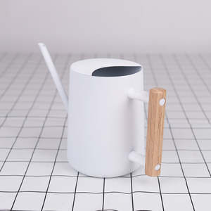 Arrosoir en métal solide pour l'extérieur, idéal pour les amateurs de plantes, offrant une construction durable, un fonctionnement stable et une poignée confortable. - Product Image 1