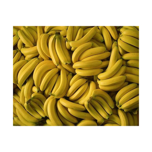 Bananes Cavendish fraîches de haute qualité variété de qualité de couleur jaune-vert pas cher prix de gros - Product Image 4