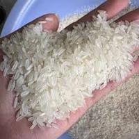 Riz blanc jasmin à grains longs – Authentique et parfumé, expédié dans les marchés mondiaux