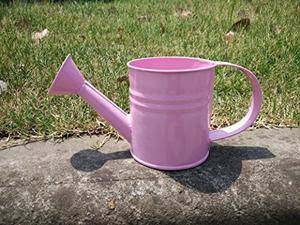 Color floral flor agua puede calidad superior venta al por mayor de lujo puede superventas barato agua galvanizada - Product Image 3