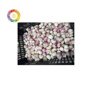 Oignon rouge naturel du Vietnam séché à l'air Ingrédient culinaire pratique et prêt à l'emploi - Product Image 4