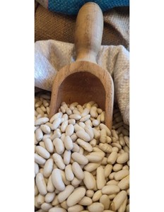 Haricots blancs biologiques de qualité supérieure | Haricots mouchetés légers | Haricots blancs séchés - Product Image 3