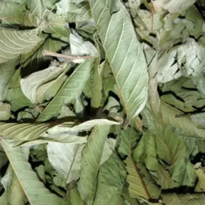 Prix de gros 100% Thé aux feuilles de goyave en sachet Thé aux feuilles de goyave biologique du Vietnam - Product Image 3