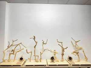 VENTE CHAUDE Arbre à café robuste pour perchoir de perroquet, à mâcher et à grimper, pour commande en gros personnalisée, Vietnam - Product Image 5