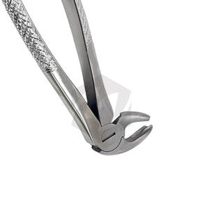 Diente Dental de Acero Inoxidable Molares Inferiores Extracción Fórceps Instrumentos Médicos Quirúrgicos Profesionales Diente de Cirugía Oral - Product Image 5