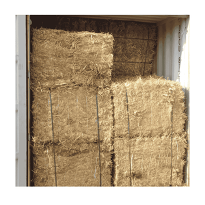 Approvisionnement en riz cassé en vrac : Conforme aux normes mondiales pour l'exportation - Product Image 3