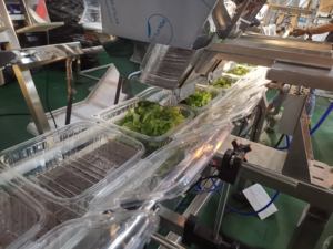 אוכמניות עגבניות שרי פירות טריים מרובי ראש משוקלל תיבת מילוי מכונת אריזה - Product Image 4