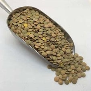 ขายร้อนของถั่วเขียวที่มีจำหน่ายในราคาที่เหมาะสม - Product Image 6