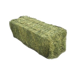 Alfalfa Hooi Speciale Prijzen Alleen Voor Golfregio En Arabische Landen