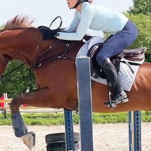 Jodhpurs et Culottes d'Équitation Confortables pour Femmes – Collants d'Équitation Élastiques à Taille Haute pour l'Entraînement – Pantalon d'Équitation Anti-Transpiration - Product Image 6