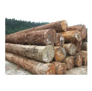 Doussie Wood logs Suppliers - Best Exporters