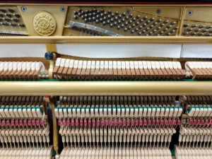 เปียโนตั้งพื้น Kawai BS2A ผลิตในญี่ปุ่น สำหรับการแสดงระดับมืออาชีพ จัดส่งทั่วโลกได้  แผ่นเสียงไม้แท้ DS60 - Product Image 4