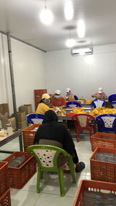 Rebanadas de mango de secado suave de primera calidad de Vietnam, sabor tropical dulce natural, suministro de exportación a granel - Product Image 5