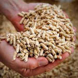 Granulés de bois de pin et de hêtre en vente maintenant - Product Image 1