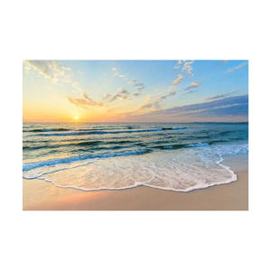 Competitively Priced Beech <b>Logs</b> in Large Quantities for All DIY Woodwork Projects - Product Image 1