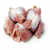 Gésiers de poulet congelés halal de qualité supérieure Pride |   Gésiers de poulet panés crus à vendre |   Fournisseur de volailles congelées en gros