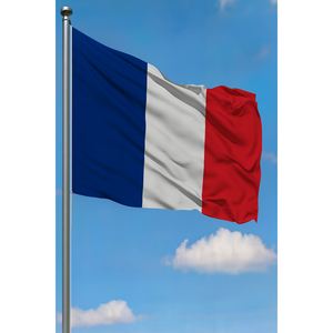 Drapeau extérieur personnalisable France, drapeau du monde, mât en aluminium, matériau polyester, techniques d'impression numérique, modèle de drapeau à cordes - Product Image 3