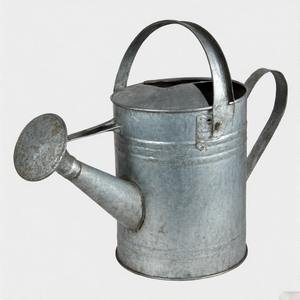 Bidon d'eau galvanisé de style vintage avec gaufrage floral surélevé et bec mince pour un arrosage doux et précis - Product Image 5