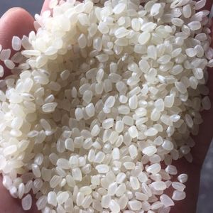สั่งซื้อข้าวญี่ปุ่นเมล็ดยาวสีขาวสำหรับซูชิ-ข้าวออร์แกนิกแบบแห้งเนื้อนุ่ม จำหน่ายจำนวนมากจากสหรัฐอเมริกาและสหภาพยุโรป - Product Image 5