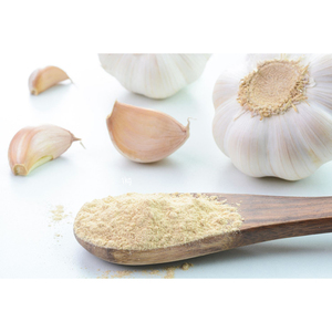 Poudre d'ail séchée de qualité alimentaire Herbojit International, fournisseur de confiance, emballage en vrac de 25 kg, additifs alimentaires savoureux et sains, excellent - Product Image 1