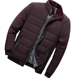 Veste matelassée en coton décontractée pour homme, grande taille, hiver, col montant, couleur unie, épaisse, en duvet - Product Image 1