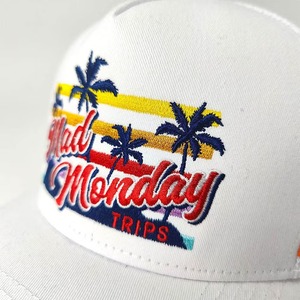 Gorras Trucker Personalizadas con Franjas Laterales, Estilo Veraniego, Bordado Tropical, Gorras de Camionero a Rayas, Fabricante de Gorras VN, Gorra para Exteriores - Product Image 2