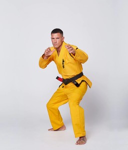 BJJ Gi brésilien Jiu Jitsu Kimono grappling MMA uniforme perle armure Polyester/coton transfert de chaleur imprimé unisexe compétition - Product Image 3