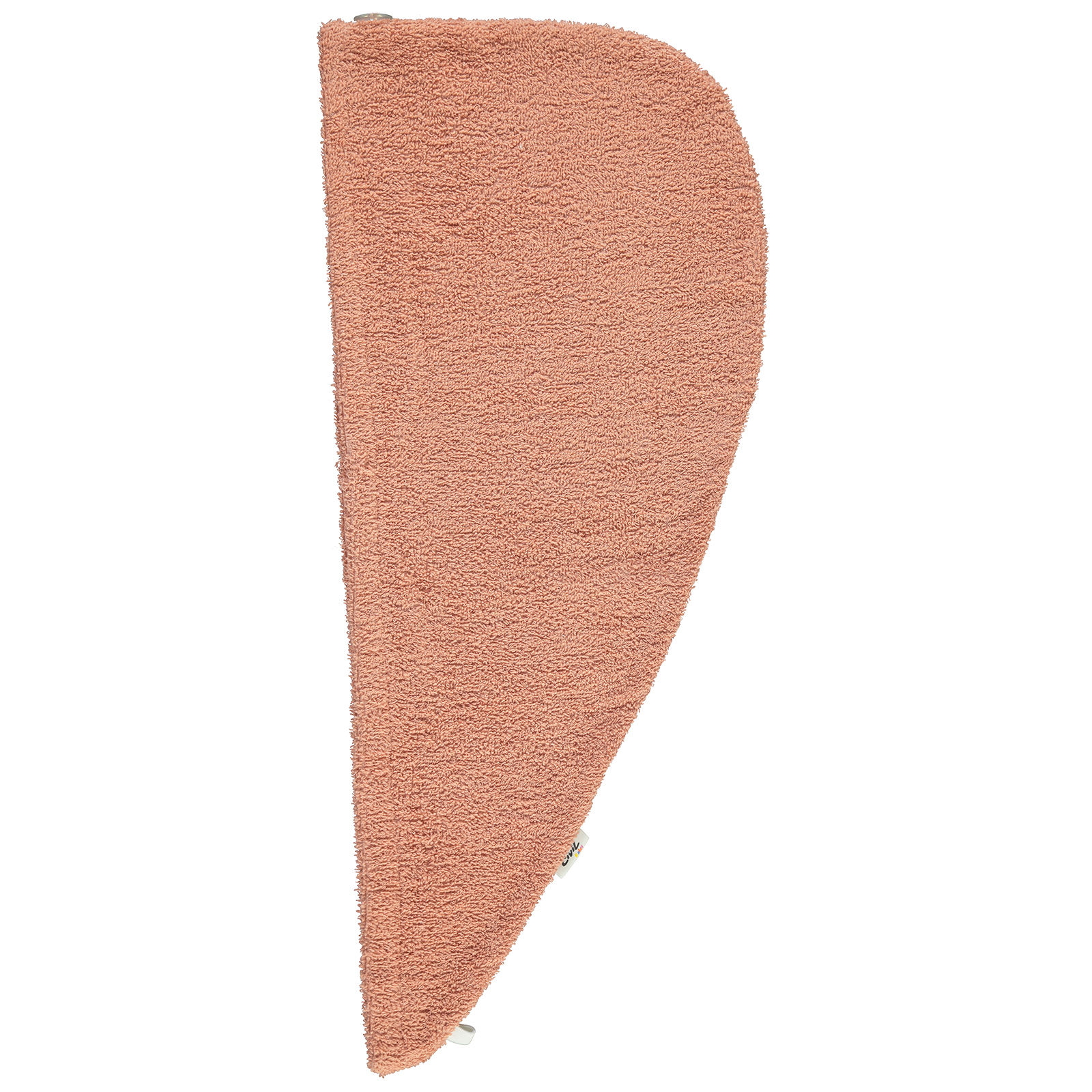 ปลาแซลมอน