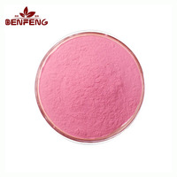 Extrait de fruit de pastèque pur naturel de qualité alimentaire Ben Feng 99% - Poudre d'extrait de jus de pastèque frais