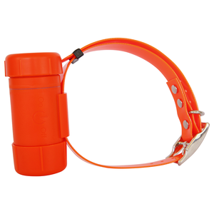 BEEPER PERRO CAZA - Product Image 4