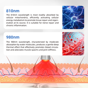 Terapia a <span class=keywords><strong>Laser</strong></span> de 905 nm Classe 4 para Alívio de Cãibras nos Joelhos e Pés, Tratamento de Distensão na Virilha, Alívio de Cólicas Menstruais - Product Image 2