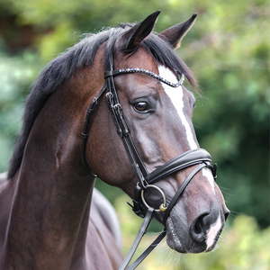 Ocean Bridle Bitless Bridle FABRICANTE AL POR MAYOR EQUESTRIAN Racing - Product Image 6
