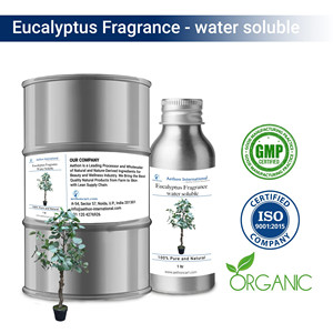 กลิ่นยูคาลิปตัสสำหรับสปาและผ่อนคลาย ผลิตภัณฑ์พรีเมียม WS - Product Image 1