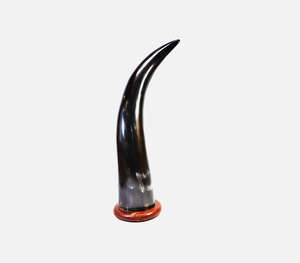 Escultura de Cuerno de Buey Natural Negro Pulido de Lujo sobre una Elegante Base de Madera, Trofeo Decorativo de Cuerno de Búfalo Hecho a Mano para Oficina - Product Image 1