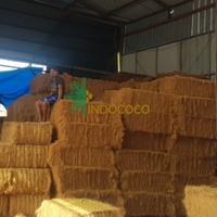 Fibre de coco brun doré 18%-25% d'humidité, longueur 7-30cm, 100kg/balle CDCF-FIBER-0001 Fournisseur Indococo Indonésie